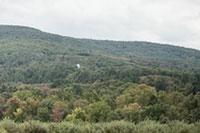 Picture3